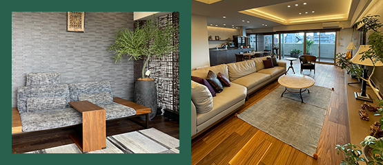 カンディハウス大阪ショップによる、家具と観葉植物のコーディネイトアドバイス