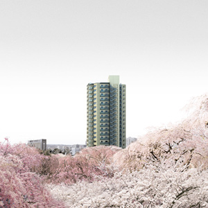 ライオンズタワー榴岡公園 桜美邸 ブロッサムステージの物件画像