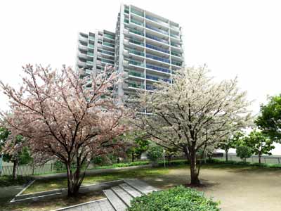 ブランズ川口栄町パークフロントの物件画像