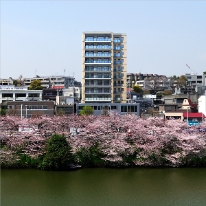 パークハウス市谷田町の物件画像