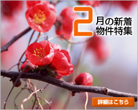 2月の新着物件特集