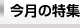 今月の特集