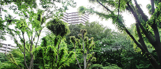 23区内に東京ドーム3個分の敷地・雑木林5万本を有するマンション「サンシティ」で、住民が自ら育んだ資産価値