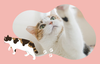 東急不動産「ブランズ巣鴨三丁目」