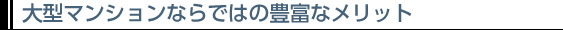 大型マンションならではの豊富なメリット