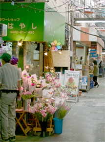 吉祥寺ガイドの写真：ハーモニカ横丁