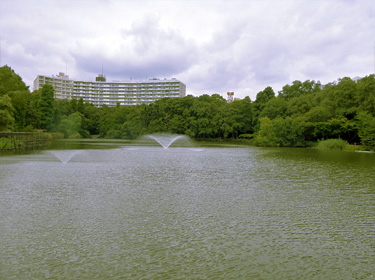 吉祥寺ガイドの写真：井の頭公園