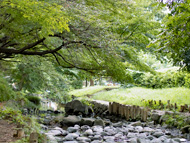 吉祥寺ガイドの写真：井の頭公園