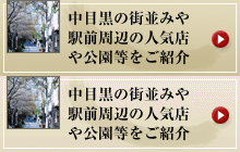 中目黒の街並みや駅前周辺の人気店や公園等をご紹介