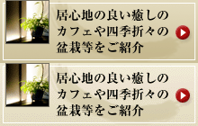 居心地の良い癒しのカフェや四季折々の盆栽等をご紹介