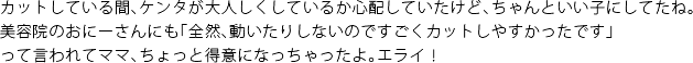 カットしている間、ケンタが大人しくしているか心配していたけど、ちゃんといい子にしてたね。　美容院のおにーさんにも「全然、動いたりしないのですごくカットしやすかったです」って言われてママ、ちょっと得意になっちゃったよ。エライ！