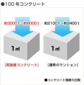 100年コンクリート