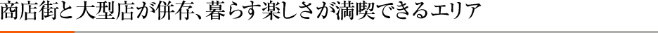 商店街と大型店が併存、暮らす楽しさが満喫できるエリア